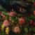 Do Your Worst - Rival Sons