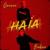 Haia - Groove