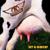Gotta Love It - Aerosmith