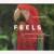 Feels (feat. Pharrell Williams, Katy Perry & Big Sean) - Calvin Harris