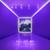 Sunshine Riptide - Fall Out Boy