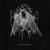 Firefly - Mura Masa