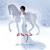 Journey Of The Angels - Enya