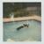 dead girl in the pool. - Girl in red