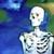 Importing - Bones