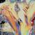 Raw Her - Nick Rouze