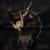 Into Disarray - Thron