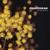 10,000 Claps - Phantogram