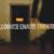 Fly - Ludovico Einaudi