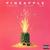 Simple - Ty Dolla $ign