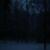 dark snowy night - Неизвестный