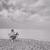 МЫСЛЕЙ МОРЕ - Nikitata