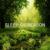 Sleep of Reason - Jessi