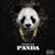 Panda - Desiigner