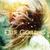 Wish I Stayed - Ellie Goulding