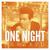 One Night - Matthew Koma