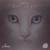 One Nine Five - Coyu