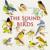 Calling In The Rain Forest - Nature Sounds