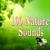 Owl Hoots and Insects at Night - Nature Sounds