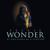 Until You Come Back To Me (That's What I'm Gonna Do) - Stevie Wonder