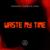 Waste My Time - Swanky Tunes