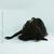 The Culling - Chelsea Wolfe