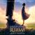 Giants Netted - John Towner Williams