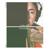 Beautiful Lady - Alex G