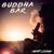 Deep Scan - Buddha-Bar