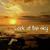 Look at the Sky - d'olive tre