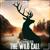 The Wild Call - The Buckness