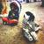 Apple Trees - Blitzen Trapper