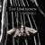 Absolution - The Unknown