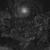 Cinereous - Abstracter
