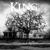 Murder Murder Murder - King 810