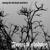 Self Inflicted Torment - Forest of Shadows